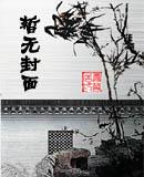 总裁大人，我养你